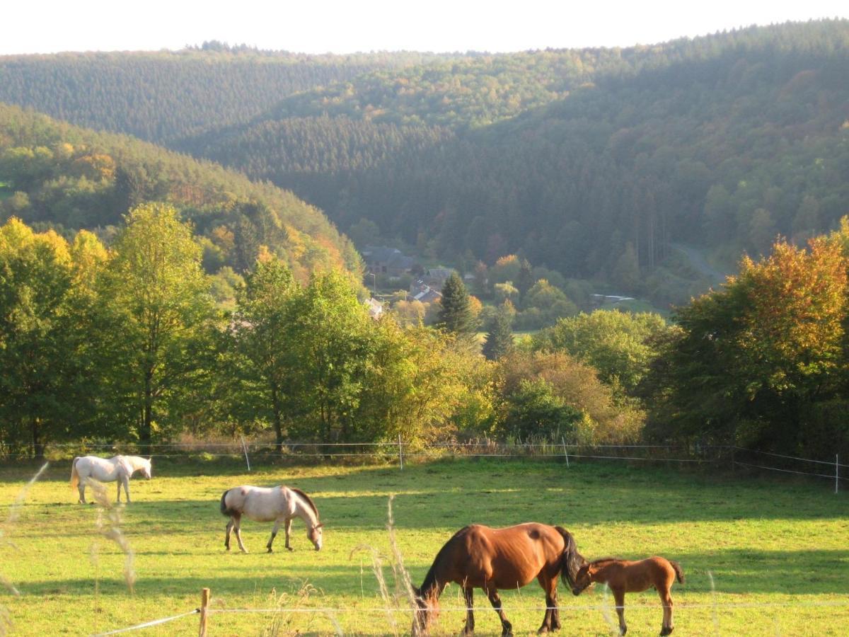 Beautiful House With View Of The Houille Valley Vencimont Kültér fotó